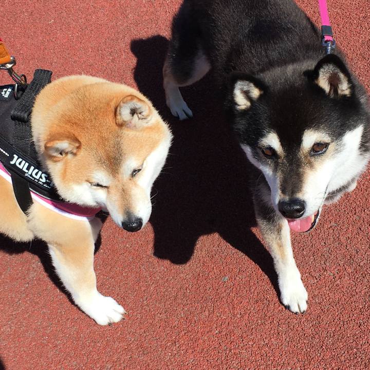 3b374d43 3293 407a 800d 5194bb953472 1583899193812