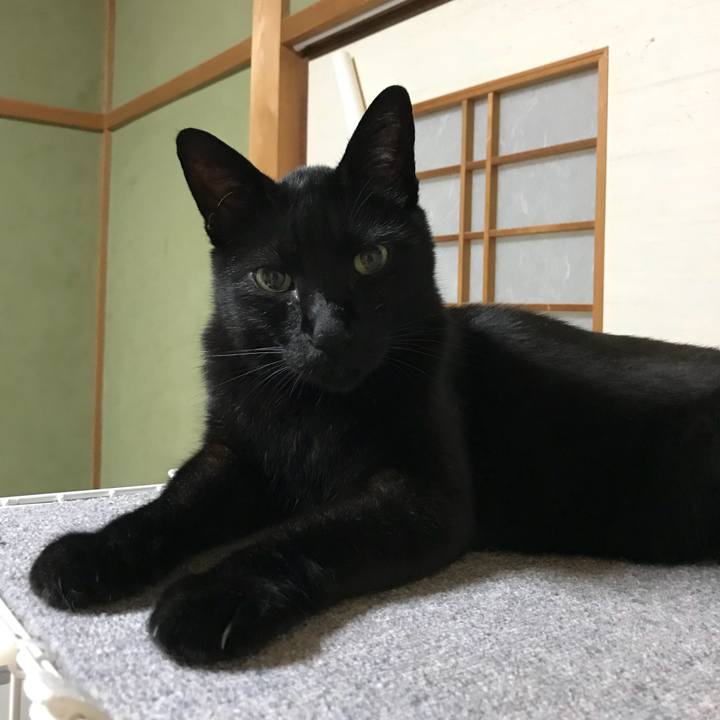 3b376cfa 546a 441d bc25 ad5bc180cd1f 1530411531010