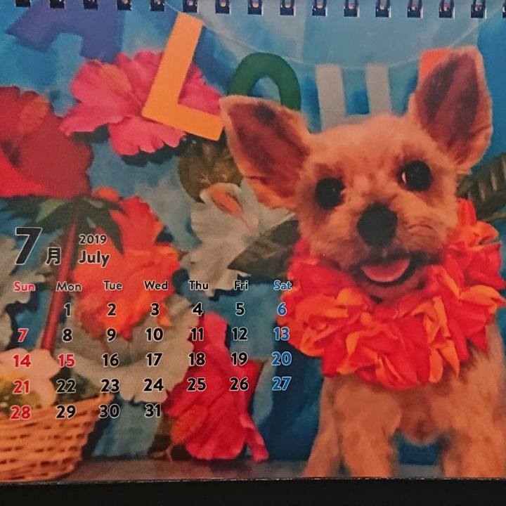 3b377f6e 8b0a 4b87 8ccc 5750ed2e10d9 1562045662529