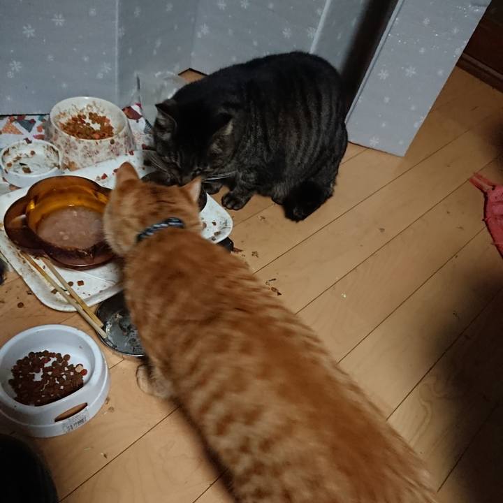 3b379709 8128 4512 ae50 1b81bfd0cc70 1640379363160