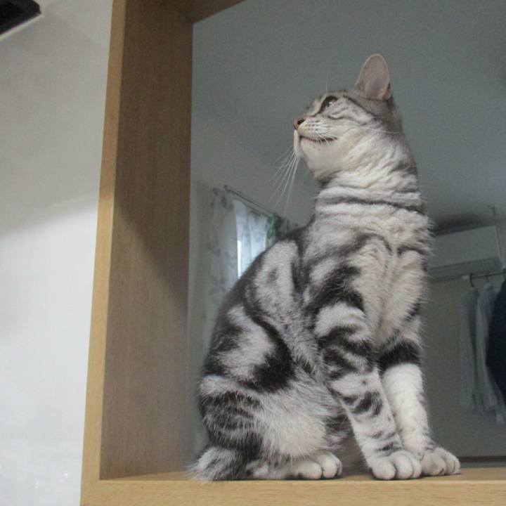 3b379fe4 82af 4373 aa25 6279ae8d98a6 1567508041997