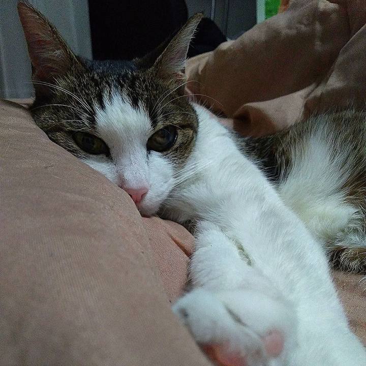 3b37a1c7 e35b 48f4 836b 9851ffc27fb4 1517398155615