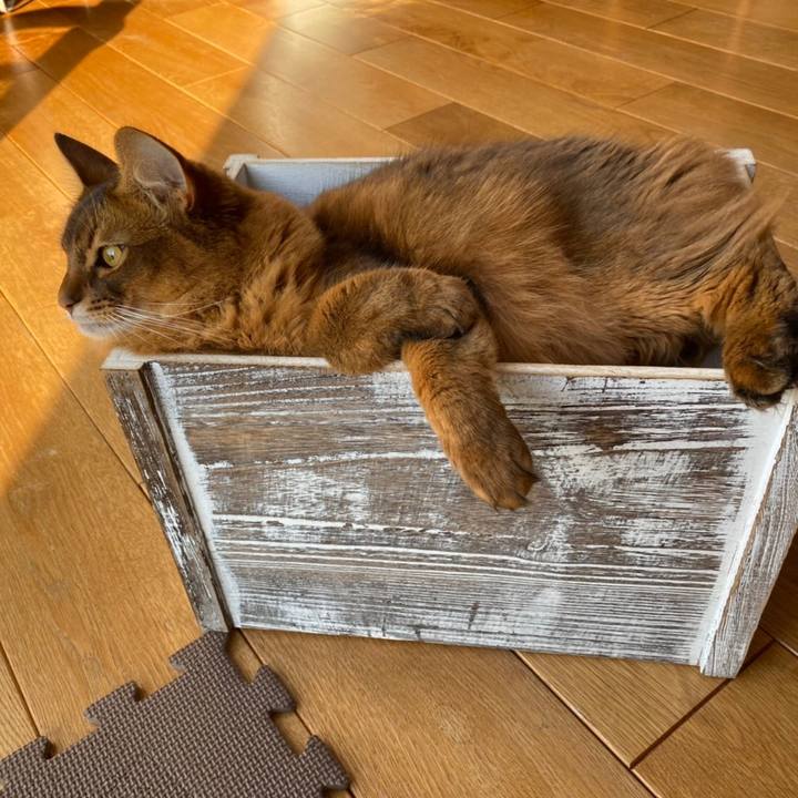 3b37ae58 71cf 40fc b8bc 0d97df421299 1635733372705