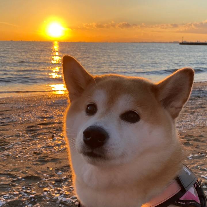 3b37c609 b2bb 49ef a619 dcee5bc43a70 1637846213518