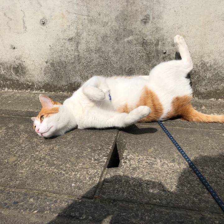 3b37cb8a fb21 49f5 a616 9e7ea19e26c2 1557143704310