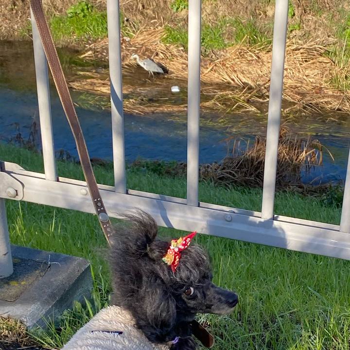 3b3814db 0ca0 434a 9220 ad5c950d7b7e 1670980335698