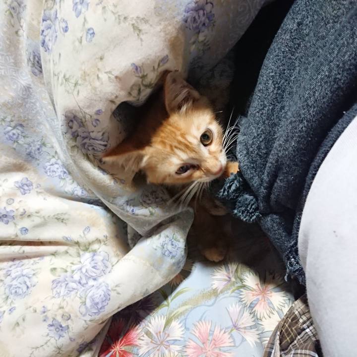 3b381cae 2d38 4e61 8c4b 05d3bc5859f6 1629318194787