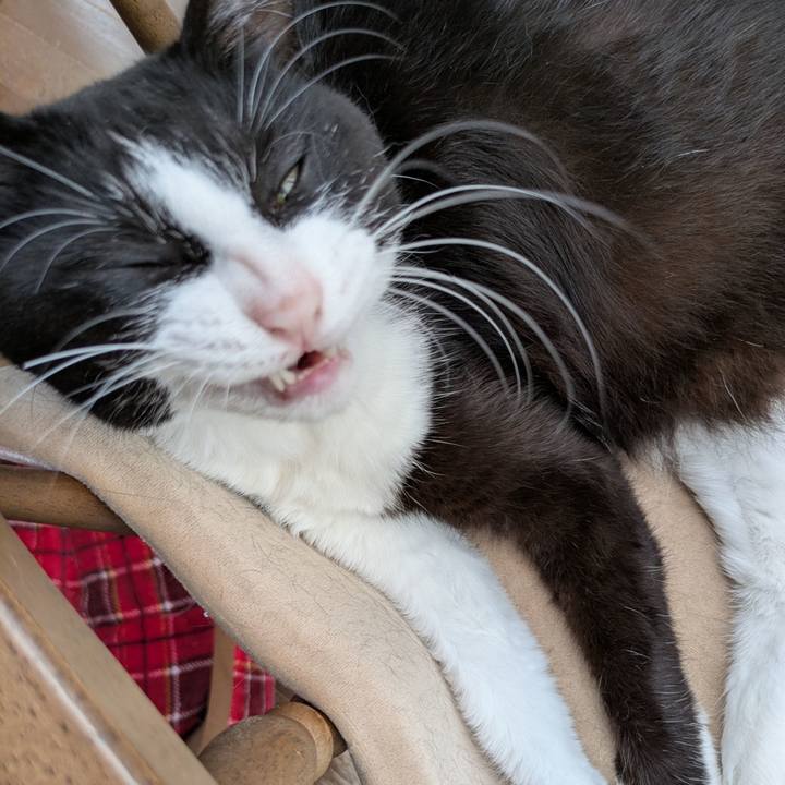 3b38347a 75f3 4a70 8feb 234e7a6333c8 1751677076580