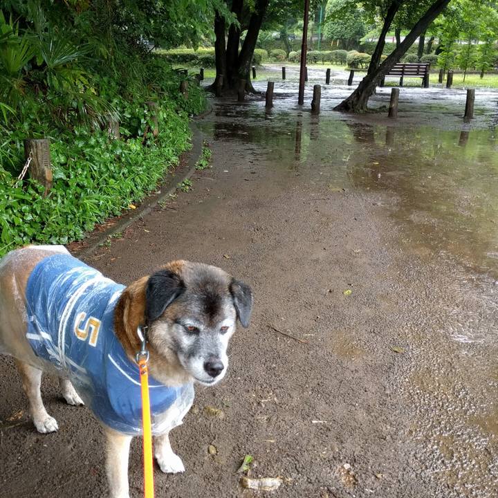 3b3845c7 56c1 436f aa4b e575216fe278 1528675411602