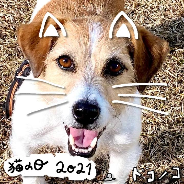 3b384758 1dd7 4da9 9d1a f1224efa44ce 1613985412985