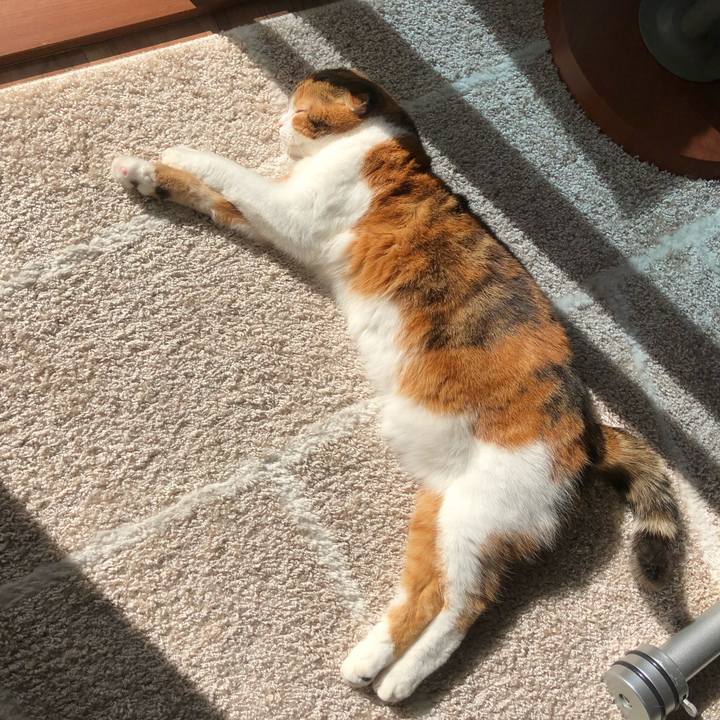 3b385b45 d733 4fc2 bb15 56cd9bfb103d 1542937168331