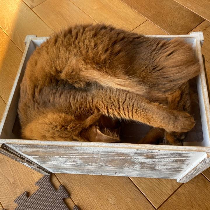 3b386fe3 cb87 49de 9214 16bdd411ae4d 1635733496559