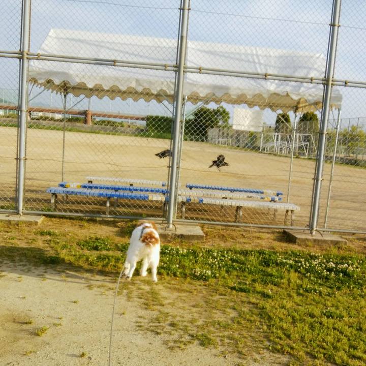 3b38b9ec cff0 49de 801a 3cf616a04947 1559214594440