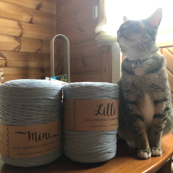 3b38fb0e 145e 4ef7 ab94 51b533da5f28 1598097456366