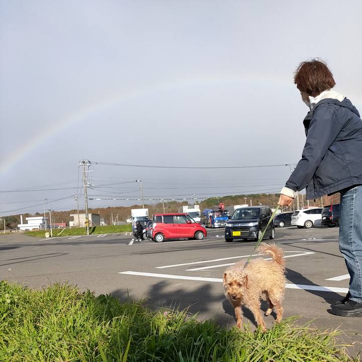 3b39144a b398 4d8e 8e57 59f36dea2619 1603495172391