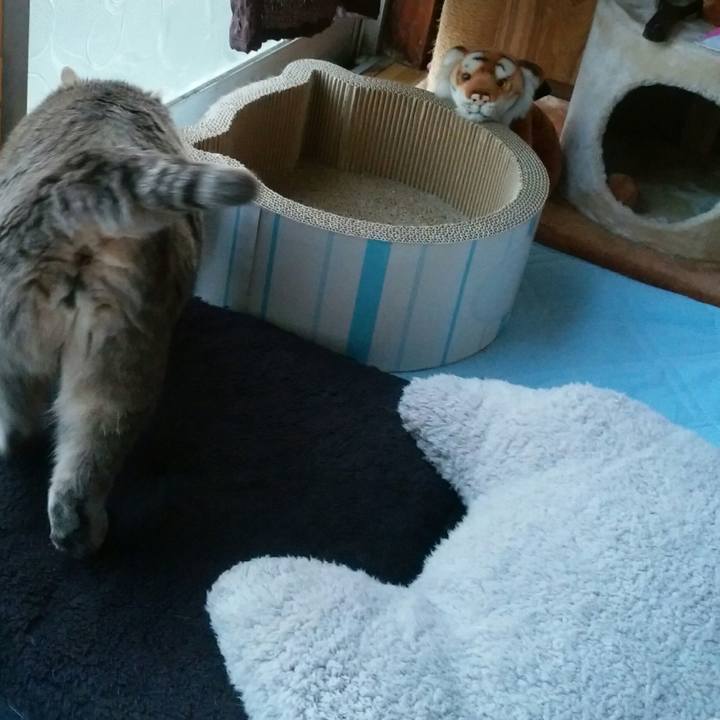 3b391d60 97d9 4ff5 8618 6f5808fb2a0a 1552811752108