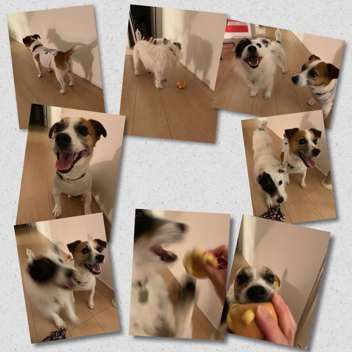 3b392160 7db4 4eaf 95c9 9b662979271c 1560429406339