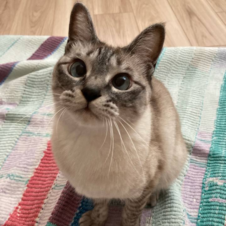 3b392eb1 7d6f 4978 8ffe 943beade39cf 1621127902137