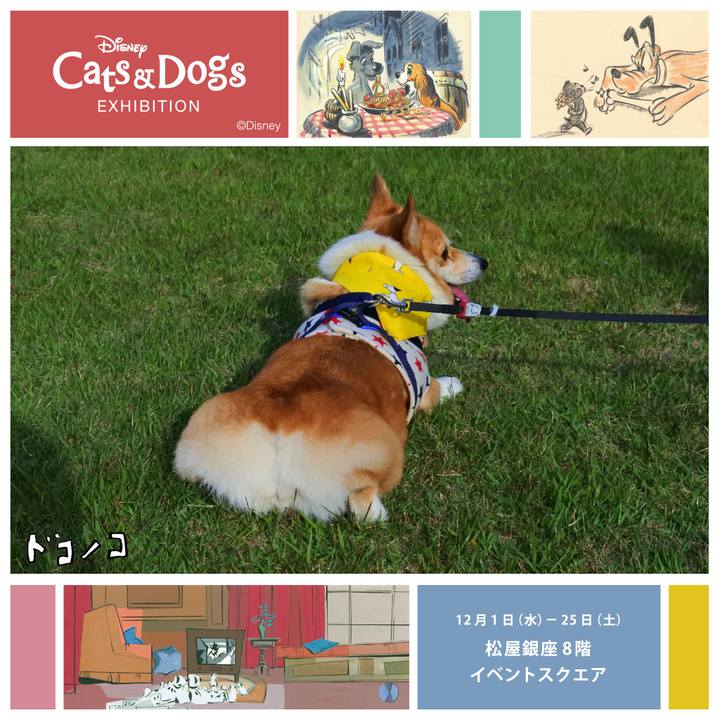 3b395277 6194 42df b794 c64f5be0bd9c 1638520652159