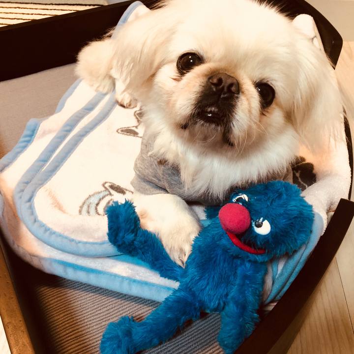 3b395335 1e9e 498e a2f9 581ca86031fa 1542970053209