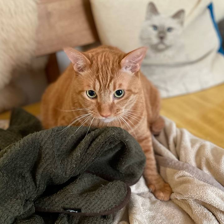 3b395c0a 787a 48c5 aef1 586a6e21db2c 1635167510265