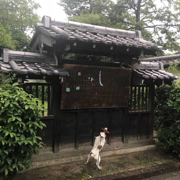 3b3972c6 b559 4a23 8edd 37017ea73d04 1528635888771