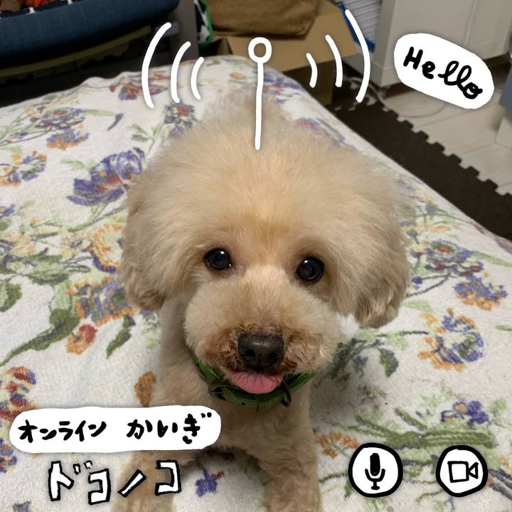 3b39be48 42e4 44a9 9dac dad230fc63a4 1590879049241