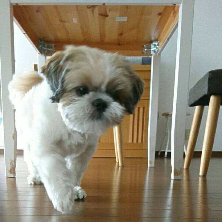 3b39c73c 4ed2 45e7 ae99 803c7ab81277 1534399611541