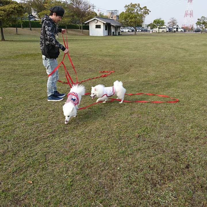 3b39e259 9d91 456e bb2d dc6c70bc547f 1555833806564