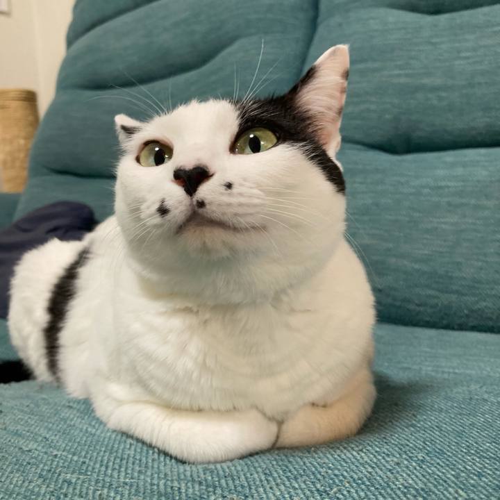 3b3a07c2 2569 41d9 9ae0 6f3216ee4d35 1759662014084