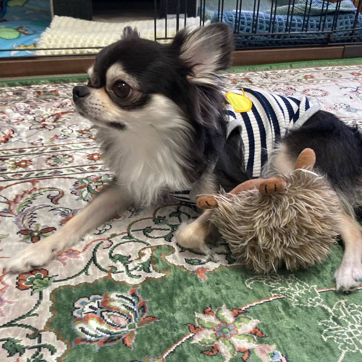 3b3a0a72 0054 4e8b aa98 317d2d206f04 1654317381598