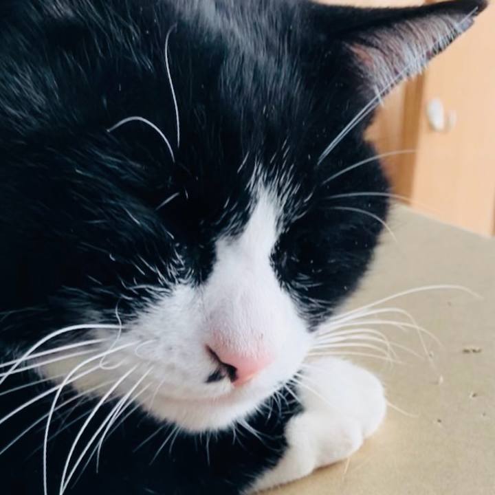 3b3a4f18 ef67 4aa3 a54a 7fae972bf919 1733974036122