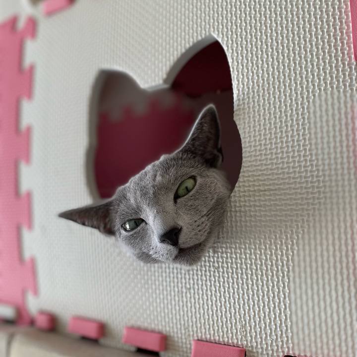 3b3a79e1 d72e 49c3 9648 c848dc8cdcde 1633399489964