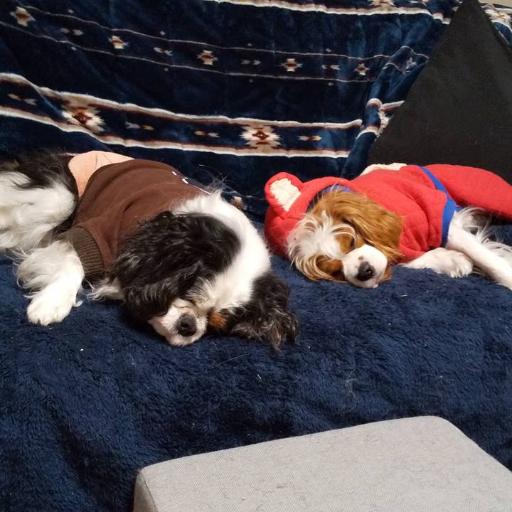 3b3a7c30 e829 44fb b98b 4c6b5e7e66ed 1586612875819