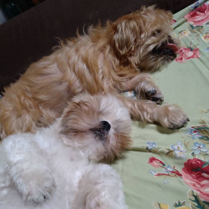 3b3adab2 9cb5 4253 8e38 911cbcf8658f 1601968488542