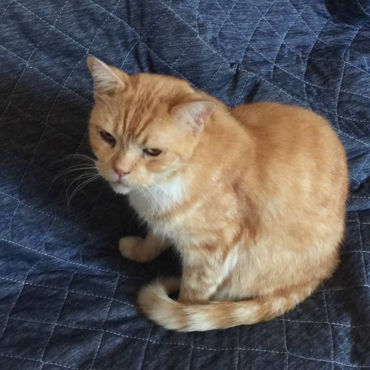 3b3b6acf 034c 44c7 b8a8 3df99b1a4d16 1574492435818