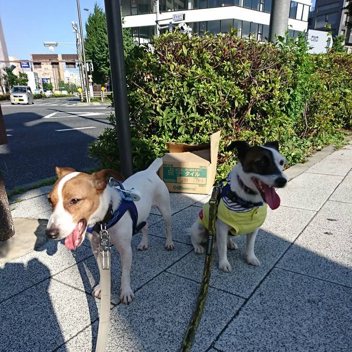 3b3bb5bf cbe7 40b4 a1b7 78904411837e 1530481925540