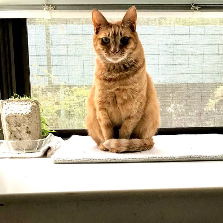 3b3bed28 568e 4366 ad77 3ad274b0540d 1574655588773