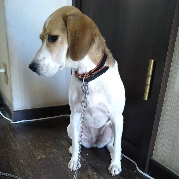 3b3c0892 531c 4974 9ce6 1a772ecec4de 1628136854260