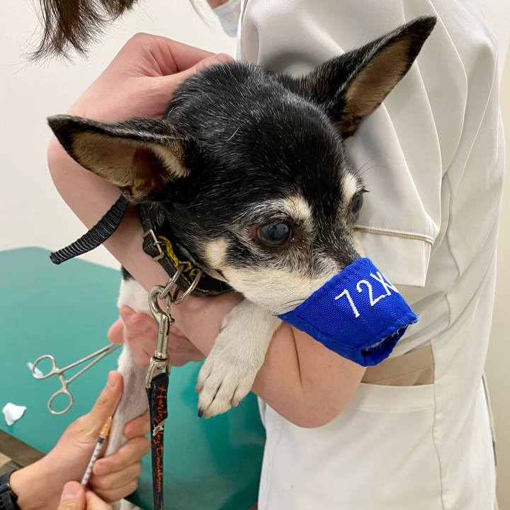 3b3c1971 42ab 45f0 8f46 e7afa4555cd6 1618056192345