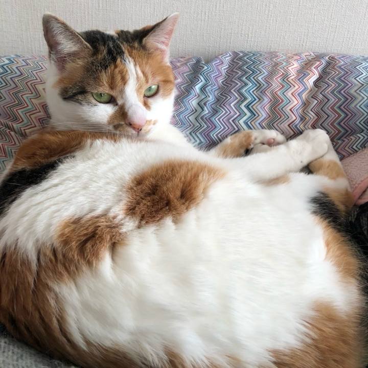 3b3c2a5e 6181 4da6 8d41 b8c3fa2808f6 1707996223669