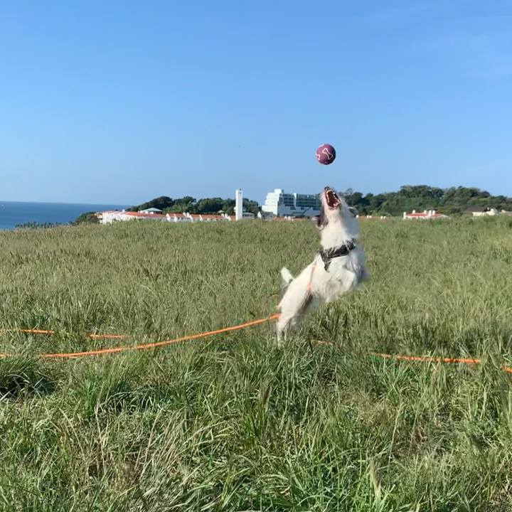 3b3c418b 99e1 424c a30b 5a8f994da7b1 1697066726908