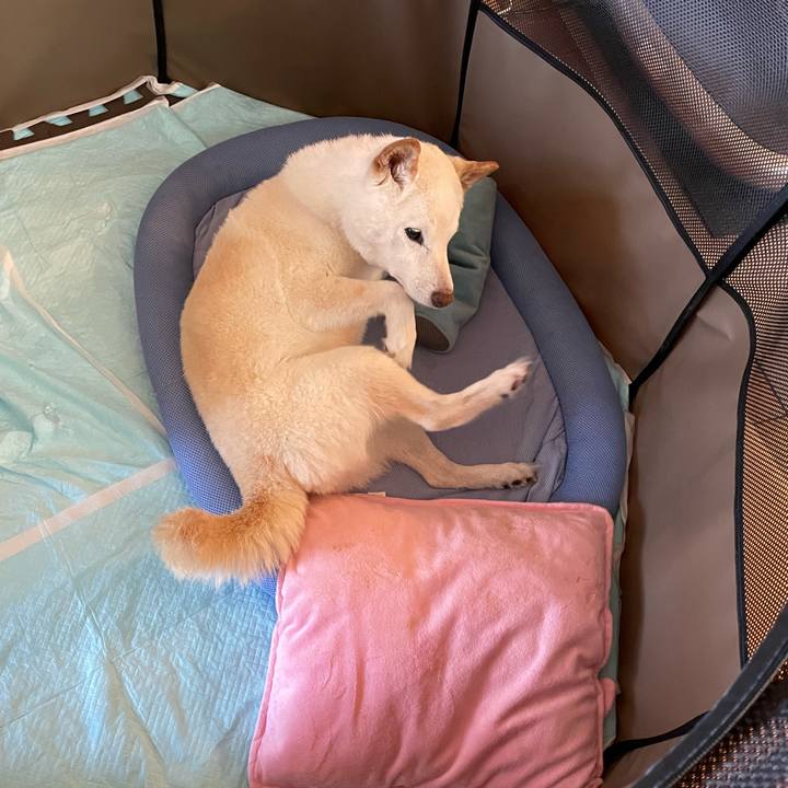 3b3c42eb bc74 4f46 9361 e323e0e98000 1654259018015