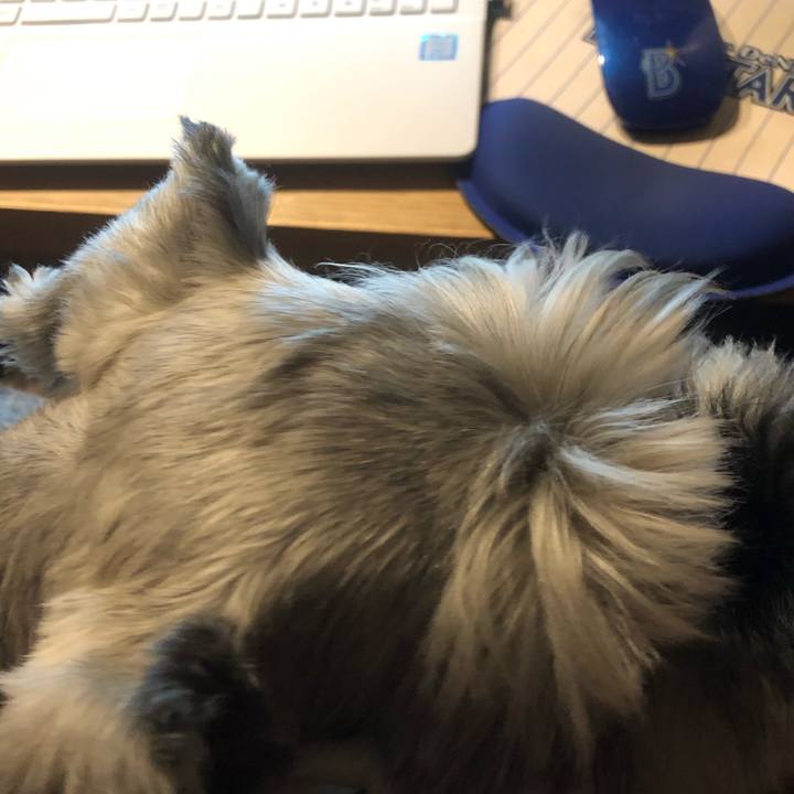 3b3c489a eb05 46fb bbb6 d768db67da5e 1570006259690