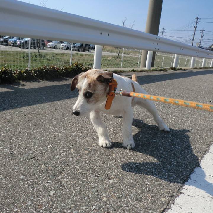 3b3c9bbb 825e 4fe1 ae44 ed3654f68aee 1554464707067