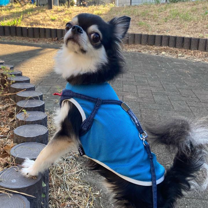 3b3cc167 7034 4319 8a07 aee560f84c71 1690728903343