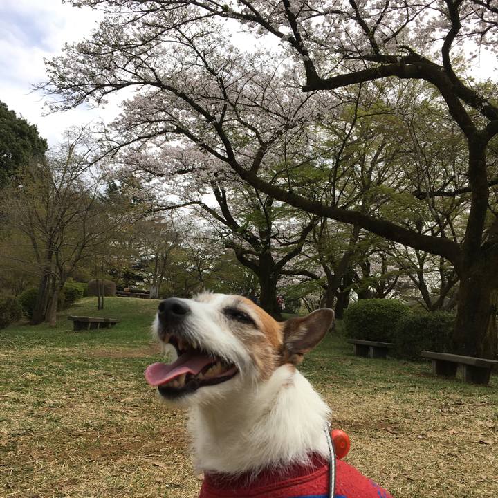 3b3cd614 b1a8 4996 a883 75eea949f6ec 1585523810813