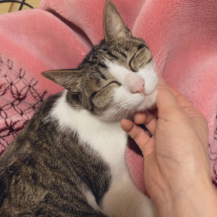 3b3cd84c 13c2 4a62 9288 10a84fdb5185 1545610459900