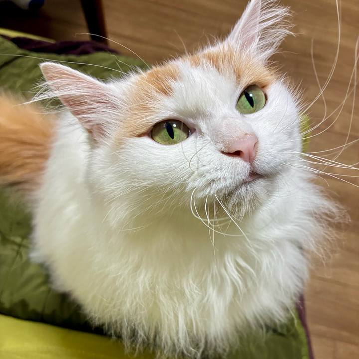 3b3cddd1 1d19 490a b5b5 d09af25bfe8b 1762653277540