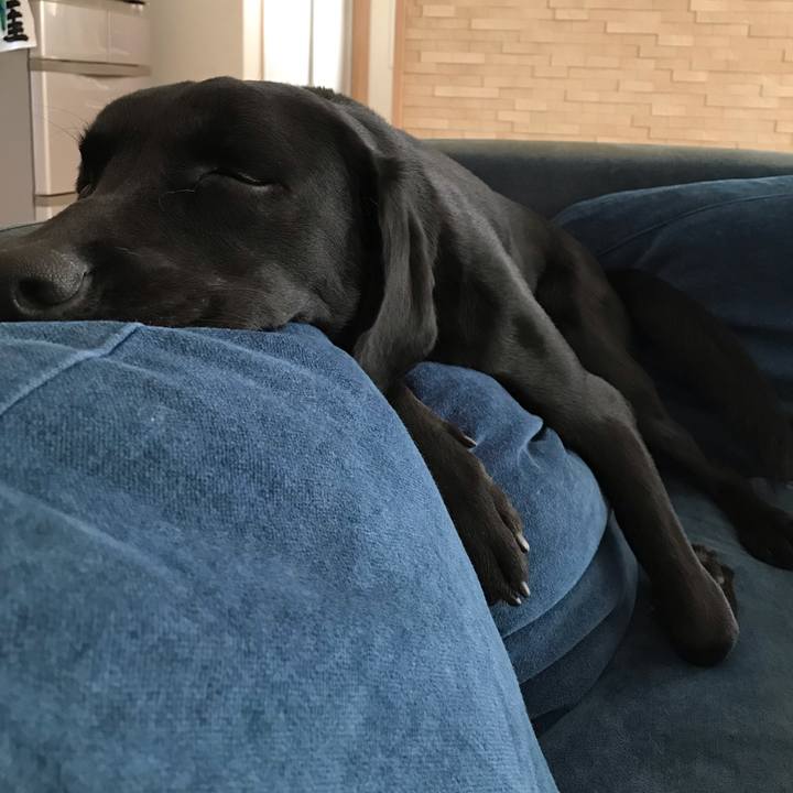 3b3cefa2 2ecc 492f a595 4a74945b8d47 1570970103098